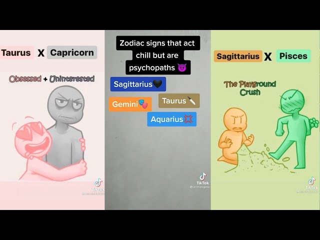 Zodiac Sign TikTok Compilation {Part 3} class=