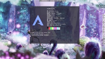 ArcoLinux : 324 use asciinema to show what is going on in your terminal