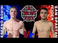 Kevin Zielke Vs Mehdi Kohrebandi Boxen Full Fight