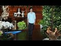 Tig Notaro Talks About Her Twins