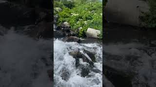 Высоко в горах Чарышского района (ч.5)! #алтай #природа #озеро