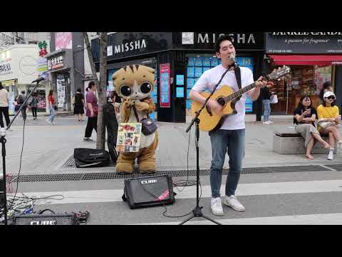 JHKTV] <strong>한국</strong> 명물고양이와 가수 김성수  korea special cat &amp;amp;singer seong soo <strong>kim</strong>
