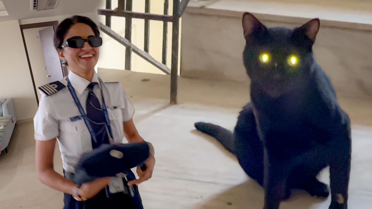 My Wife | Same to Same