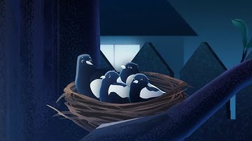 Light Pollution Informative Animation - Voice Demo