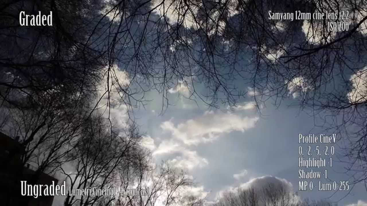SAMYANG サムヤン 12mm T2.2 Cine NCS CS Sony LK SAMYANG