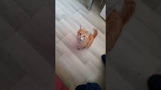 Are You Here Ha Ha And Im Here