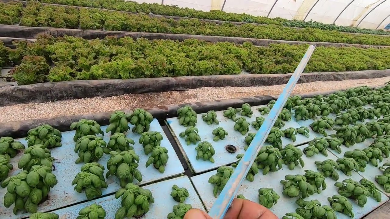 تأسيس الاحواض العائمه على اساس صحيح