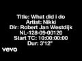 Nikki - What Did I Do