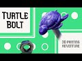 Turtle Bolt
