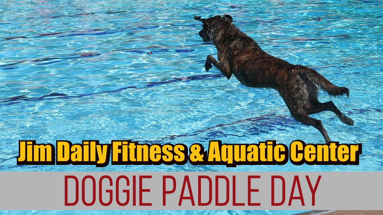 Doggie Paddle Day at the Jim Dailey Fitness and Aquatics Center