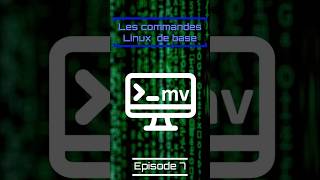 Les commandes Linux de base Episode 7 #linux #cmd #short