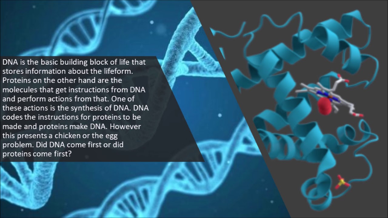 The RNA World Hypothesis - YouTube