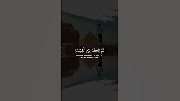 سورة الزمر بتلاوة الشيخ ماهر المعيقلي #قران_كريم #سورة_الزمر #الشيخ_ماهر_المعيقلي #fyp