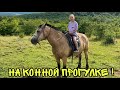 ВЛОГ ! Закончил БАССЕЙН ! ЕДУ с ДОЧЕЙ на КОННУЮ прогулку ! Батя Лёша