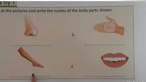 Class 1 EVS CH 3 MY BODY Part 1 05 05 2020