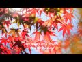 Forever Autumn ~ Justin Hayward (lyrics, HD, HQ)