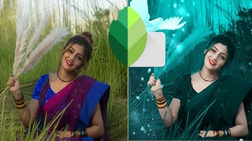 Snapseed Green And Bird Effect Photo Editing Tutorial | Snapseed Background Colour Change Tricks