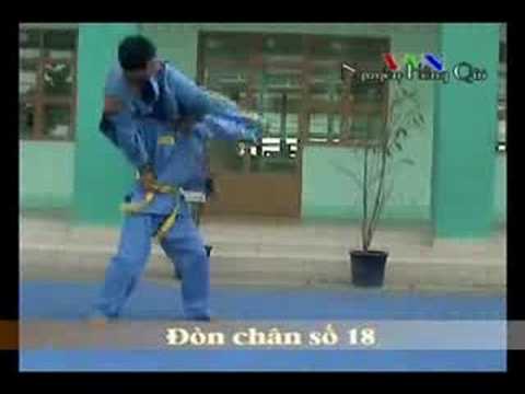 Đòn Chân Tấn Công số 18 - Vovinam Technical Program