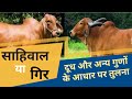 साहिवाल या गिर | दूध और अन्य गुणों के आधार पर तुलना | Dairy farming in India