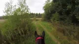 Выезд в поля. Riding in plains. GoPro