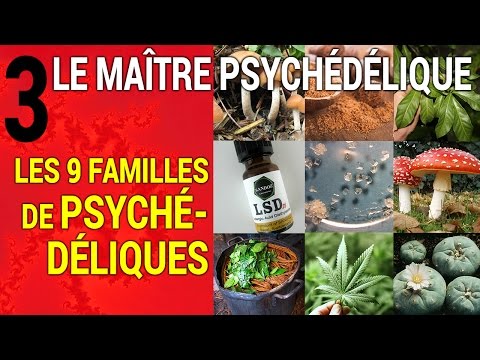 Vidéo: Parenting Avec Des Psychédéliques - Réseau Matador