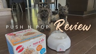 Push n Pop Treat Dispenser - Honest Review by 2 Cairn Terriers by Sprout The Cairn Terrier 1,340 views 1 year ago 4 minutes, 14 seconds