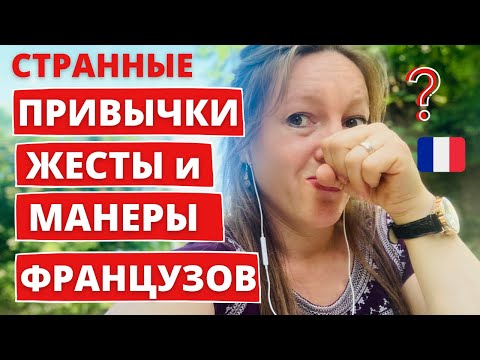 Video: Франция Улуу Хамстерге көңүл бурбаганы үчүн китеп алып келди