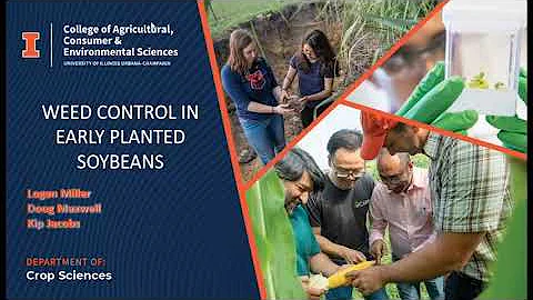 Weed Management in Early Planted Soybeans