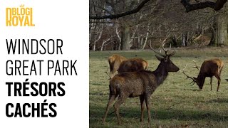 Windsor Great Park : Trésors cachés d'un parc Royal