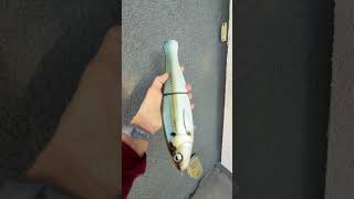 Bullshad 14” Trick Jack in Blueback Herring Pattern #swimbaits