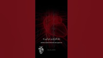 و نحن اقرب اليه من حبل الوريد❤️😴 القارئ اسلام صبحي #قرآن #اسلام_صبحي