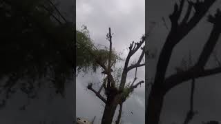 Aj Mery Saher Ma Utra Hai Kamal Ka Moasam