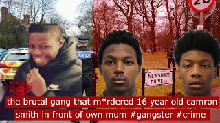 the brutal gang that m*rdered 16 year old camron smith in front of own mum #gangster #crime