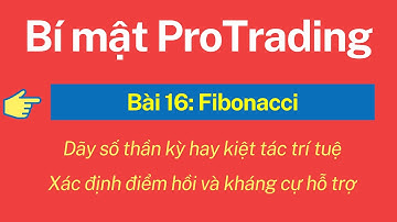Bài 16 _ Fibonacci Là Gì? Hướng dẫn giao dịch hiệu quả với fibonacci.