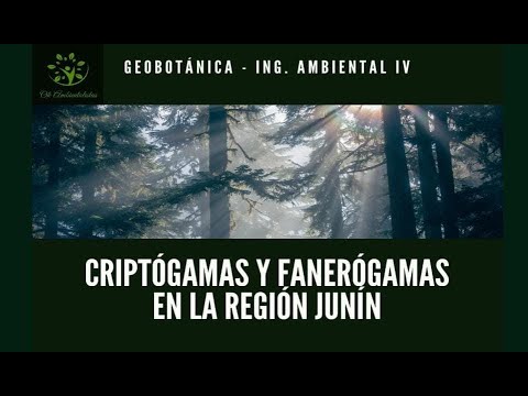 Plantas Criptógamas y Fanerógamas de la Región Junín