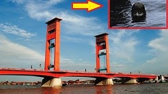 Jembatan Ampera Banyak Makhluk Misterius Berkeliaran - Durasi: 3.29. 