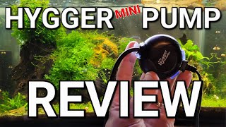 Hygger HG-811 Ultra Quiet Mini Aquarium Air Pump Review - Pros, Cons, And Comparison!