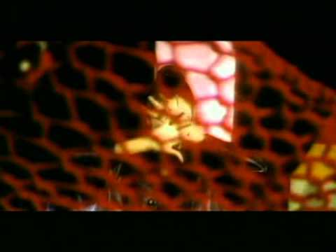 ja-ni-le-ja-[full-song]-|-punjabi-lishkara-hits--vol.2