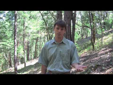 Oregon man gets 30 days in jail: Selective Prosecution of Gary - YouTube ParadoxicalProd