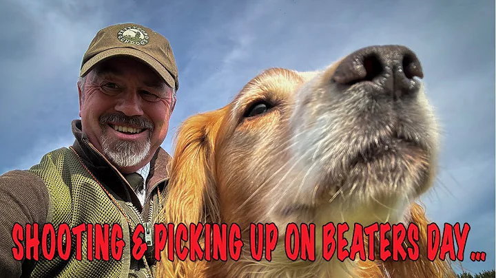 Shooting and Picking Up on Beaters Day