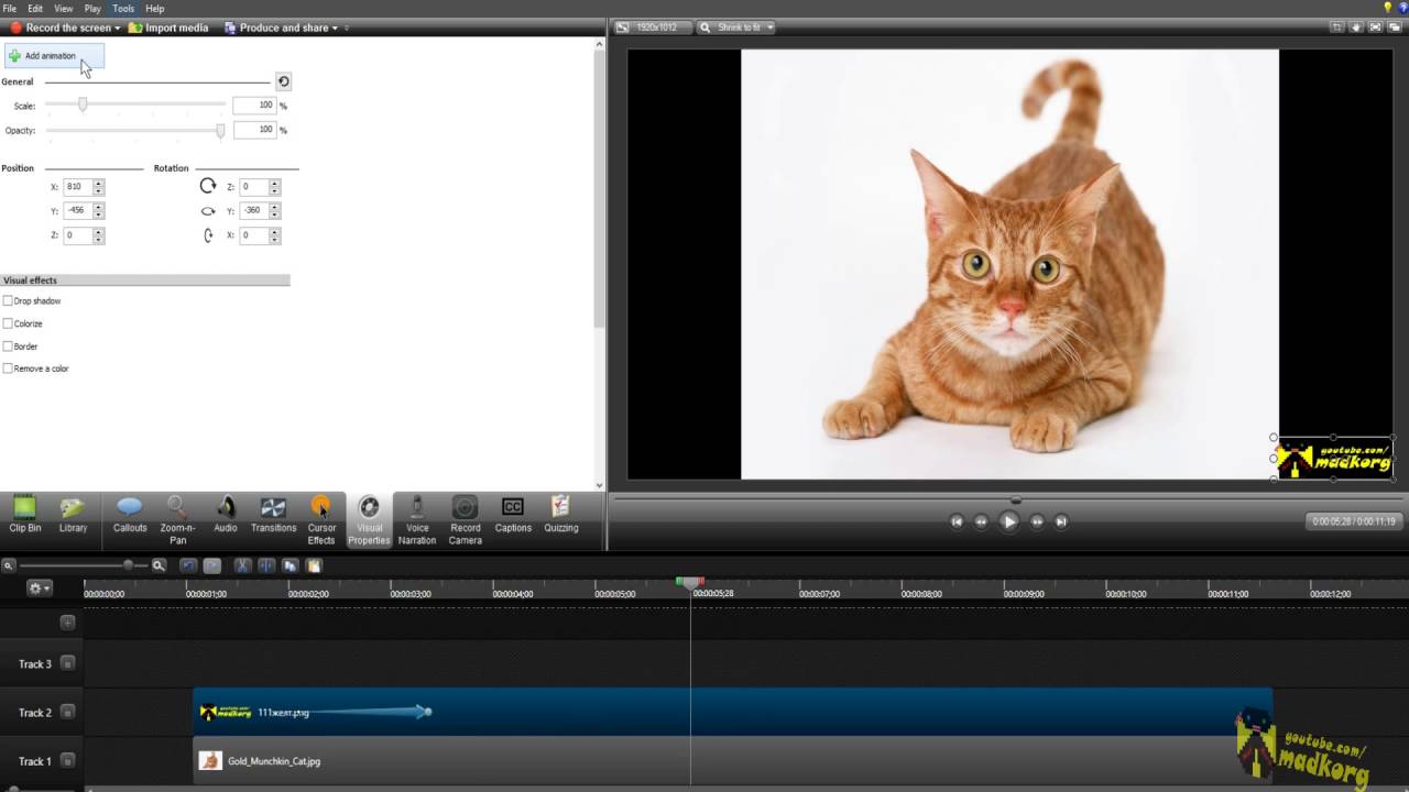 Как создать видеоурок с помощью Camtasia Studio: пошаговая инструкция