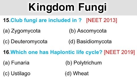 Fungi MCQ || Classification of Fungi || Kingdom Fungi