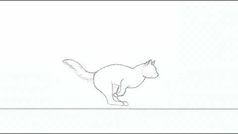 cat running - animation study