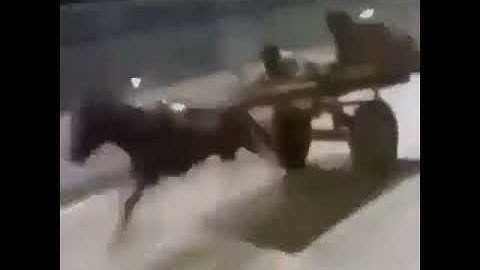 Powerpuff girls intro with races