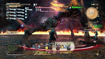 FINAL FANTASY® XIV: A Realm Reborn (ifrit combat) Quebec ps4