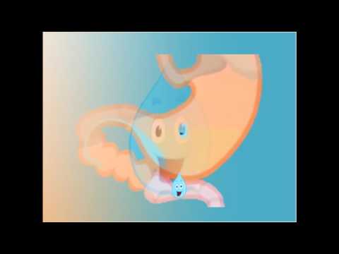 قصة عن أداب شرب الماء