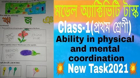 Model Activity Task Class -1ability in physical and mental coordination New 2021Full solve #WBBSE