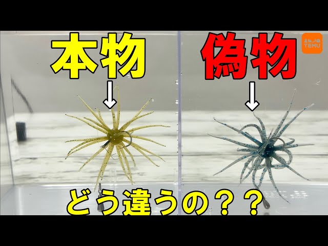 徹底比較】中華コイケはどんなもん？【検証】【TEMU釣具Vol.1】 - YouTube