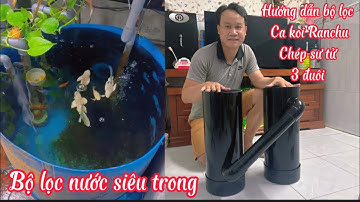 Hướng Dẫn Làm Lọc Hồ Cá Koi Ranchu Chép Sư Tử Chi Tiết - Đơn Giản Hiệu Quả Dễ Làm - Nhân Vlog 1989.