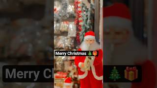 #merry Christmas🎄🎁christmas #merrychristmas #christmastree #christmasdecor #xmas #dreamlake #love